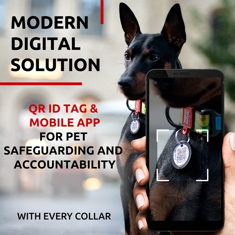 WauDog Nylon Dog Collar - Adjustable Dog Collar for Large Dogs, Small & Medium Dogs - Puppy Collars for Large Breed Dogs - Boy & Girl Dog Collars with Durable Plastic Buckle and QR Dog Tag - Image 3
